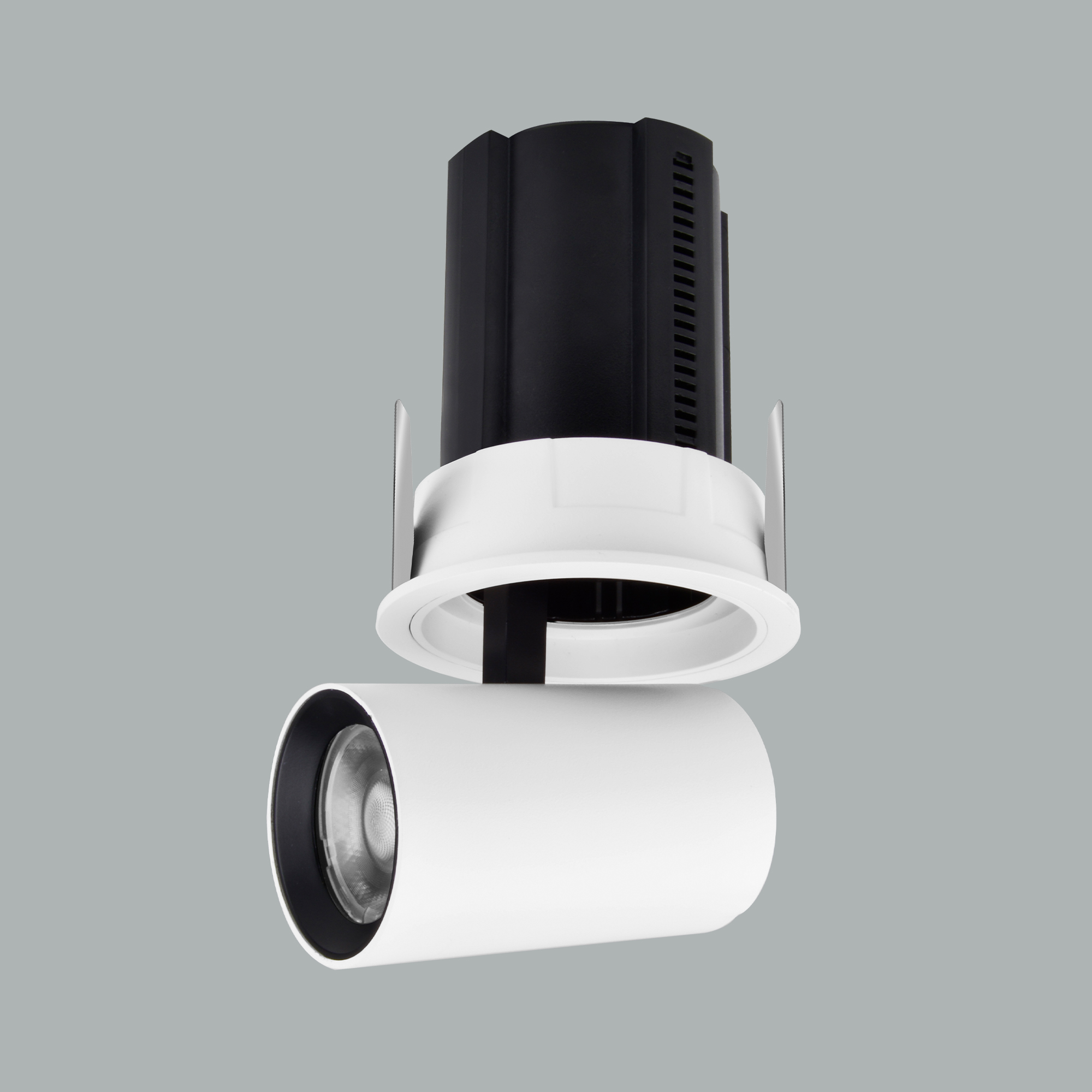 ASENA MAXI Adjustable wallwasher 